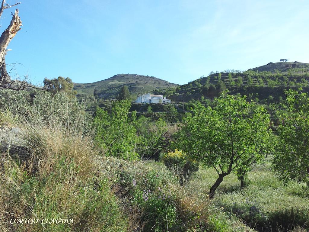 Cortijo Claudia Guest House Taberno Ngoại thất bức ảnh