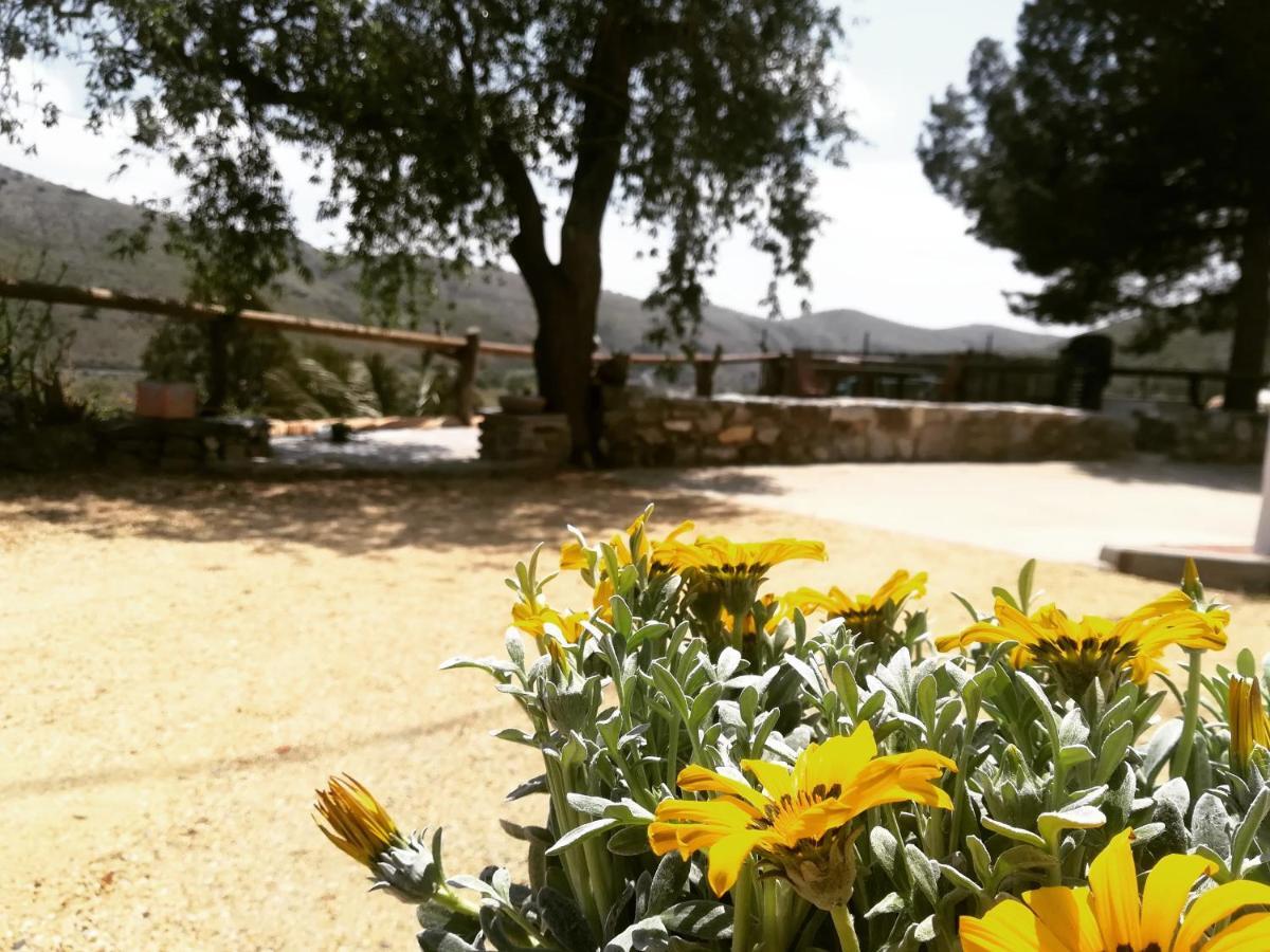 Cortijo Claudia Guest House Taberno Ngoại thất bức ảnh
